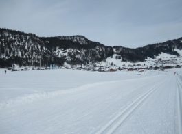 Langlauf in Reit im Winkl