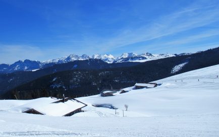 Steinplatte/Winklmoos