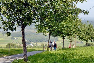 Obst- und Kulturweg 1