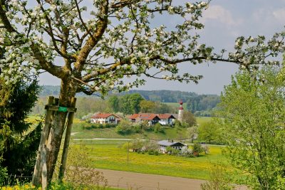 Obst- und Kulturweg 2