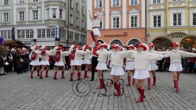 P05FaschingsgildeUmtrunkFischkuchl