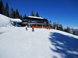 Steinplatte/Winklmoos