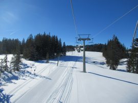 Steinplatte/Winklmoos