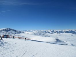 Steinplatte/Winklmoos