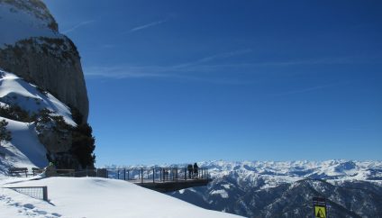 Steinplatte/Winklmoos