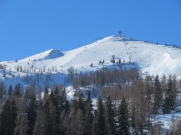 Steinplatte/Winklmoos