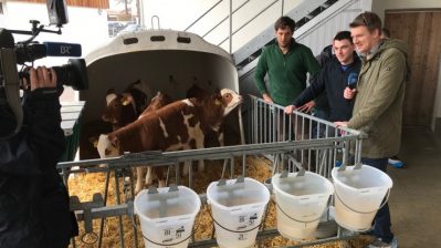 2019-04-11-bwb-kaelber