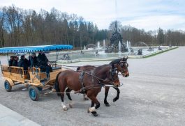 Alpenraum-Vereinbarung (9)