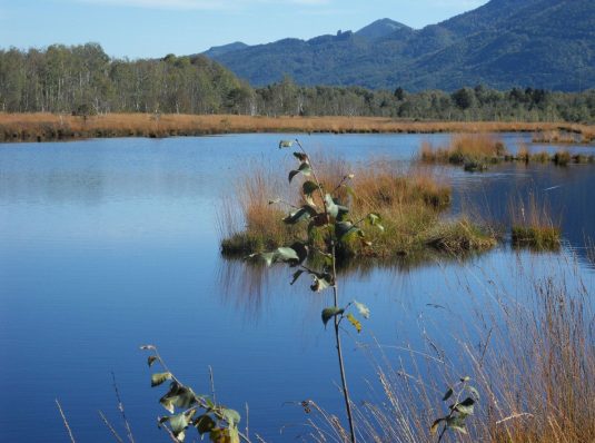 rund ums Kendlmuehlfilz