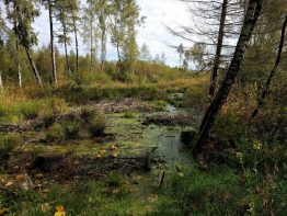 rund ums Kendlmuehlfilz