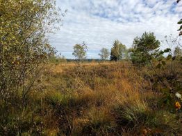 rund ums Kendlmuehlfilz