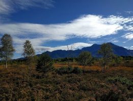 rund ums Kendlmuehlfilz