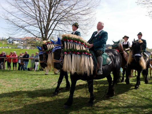 P077 GeorgirittTraunstein