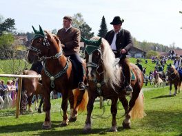 P090 GeorgirittTraunstein