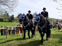 P099 GeorgirittTraunstein