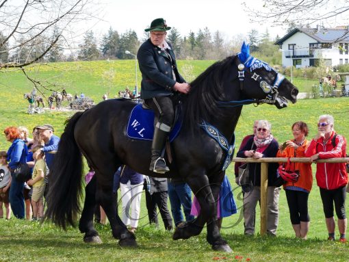 P114 GeorgirittTraunstein