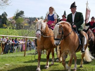 P120 GeorgirittTraunstein