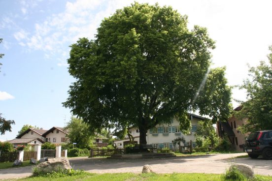 Priener Kunstspaziergaenge (2)