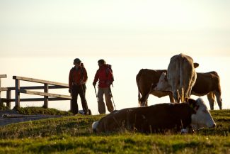 Wanderer im Almgebiet-Chiemsee-Alpenland Tourismus