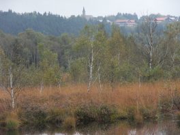 rund ums Kendlmuehlfilz