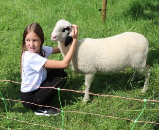 kl-sachbauernmarkt02