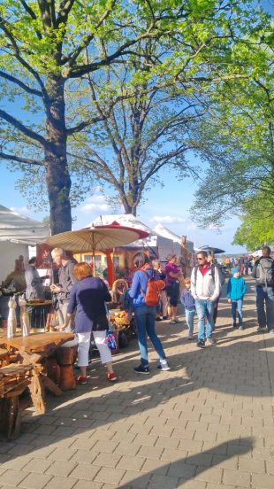 99ea2c4d-9685-4f9c-9710-8e110a492c20