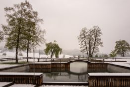 Badesaison-am-Samerberg-1720587