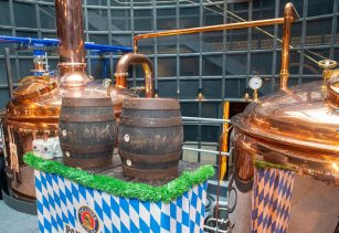 Bayerische Bierkoenigin (2)