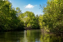 DtTrachtentag-Spreefahrt-1003131