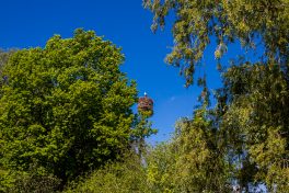 DtTrachtentag-Spreefahrt-1003135