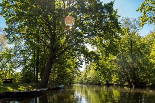 DtTrachtentag-Spreefahrt-1720801