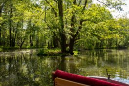 DtTrachtentag-Spreefahrt-1720847