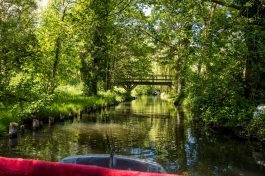 DtTrachtentag-Spreefahrt-1720869