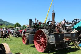 aschau bulldogtreffen00