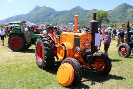 aschau bulldogtreffen05