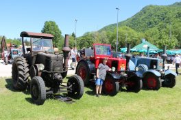 aschau bulldogtreffen06