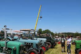 aschau bulldogtreffen07