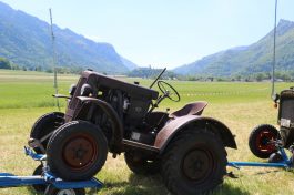 aschau bulldogtreffen08