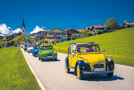 kl-Ententreff-Samerberg-1009046