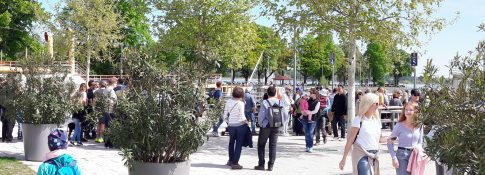 kl-Panorama ChiemseeAbfahrt