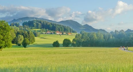 1Abendstimmung und Walking kl