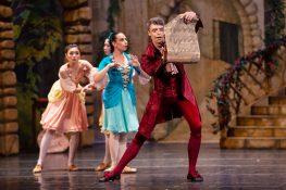 Die Schoene und das Biest_3_c_Corina Radu