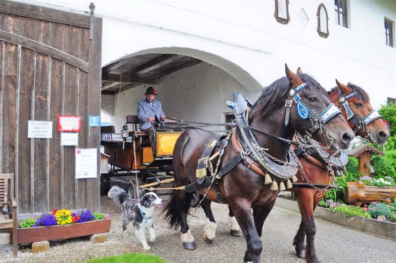 Franz Obereisenbuchner lädt ein zu idyllischen Pferdekutschenfahrten