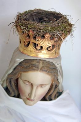 Gekroenter Nachwusch_Foto H. Reiter (2)