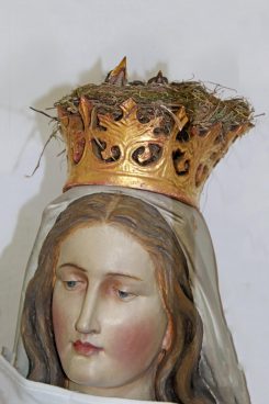 Gekroenter Nachwusch_Foto H. Reiter