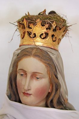 Gekroenter Nachwusch_Foto H. Reiter (3)