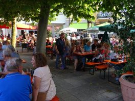 Rosenheim Stadlfest (3)