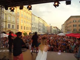 Rosenheim Stadlfest (9)