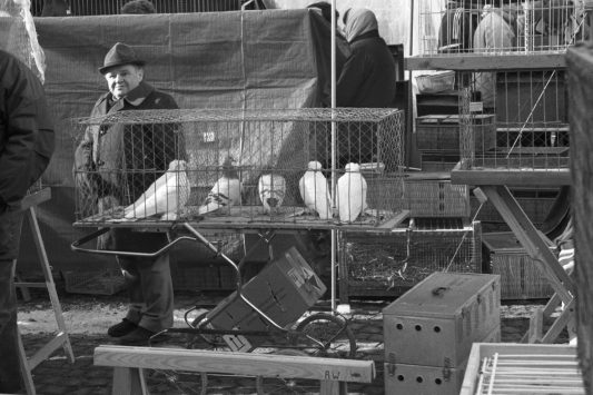 Taubenmarkt-Wasserburg-06