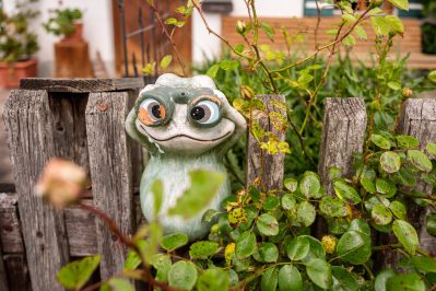 Zaungäste Mitterhof